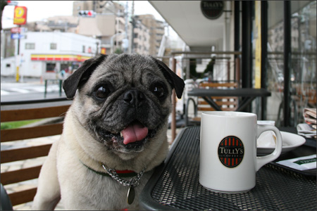 「タリーズコーヒー 砧世田谷通り店」でお茶しました。